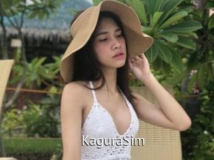 KaguraSim