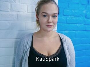 KaliSpark