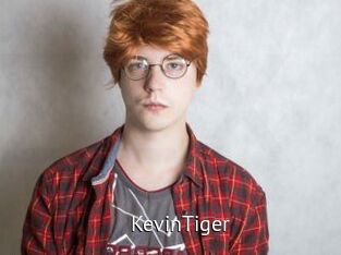 KevinTiger