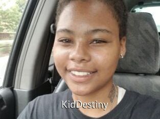 KidDestiny Zizi X