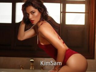 KimSam Zizi X