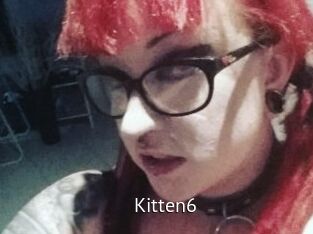 Kitten6