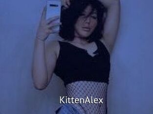 KittenAlex