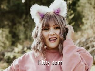 Kitty_cam