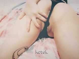 Kotek