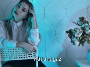 kaliandgaz Zizi X