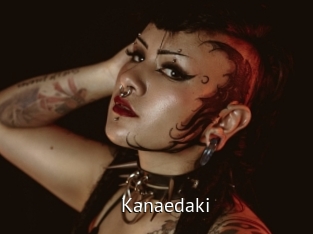 kanaedaki Zizi X