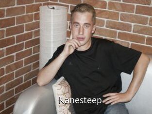 Kanesteep