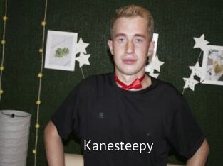 Kanesteepy