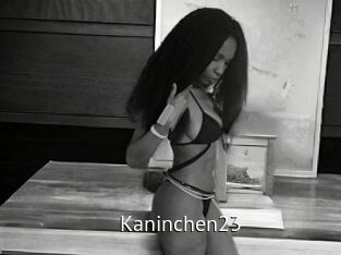 Kaninchen23