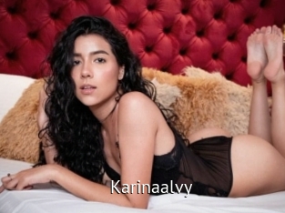 Karinaalvy