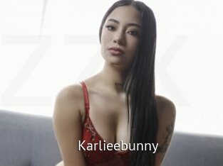 Karlieebunny