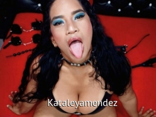 kataleyamendez Zizi X