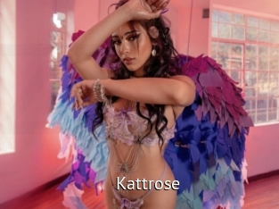 Kattrose