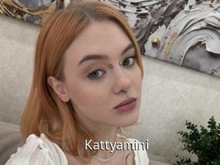 Kattyamini