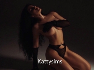 Kattysims