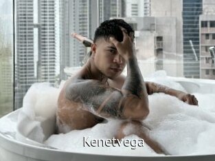 kenetvega Zizi X