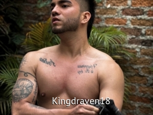 kingdraven18 Zizi X