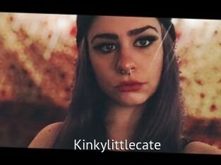 Kinkylittlecate