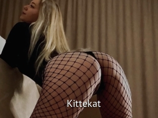 Kittekat