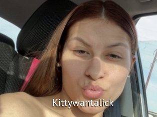 Kittywantalick