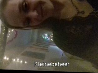 Kleinebeheer