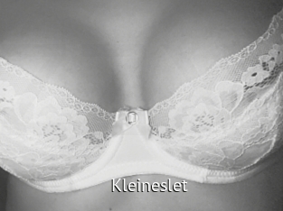 Kleineslet