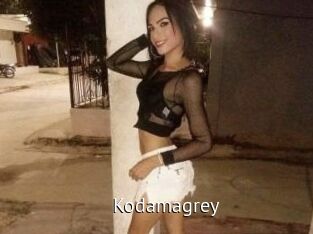 Kodamagrey