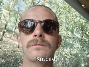 Krisbirdy