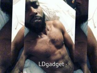 LDgadget