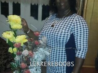 LEKKEREBOOBS Zizi X