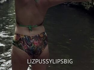 LIZPUSSYLIPSBIG