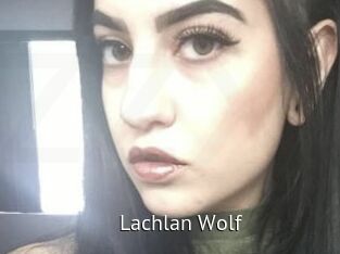 Lachlan_Wolf Zizi X