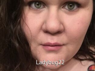 Ladybug22