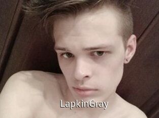 LapkinGray