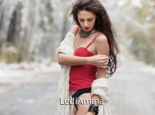 LediAmina