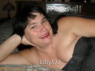 Lilly377