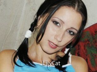 Lily_Cat_