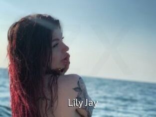 Lily_Jay Zizi X