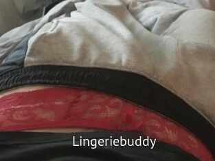 Lingeriebuddy
