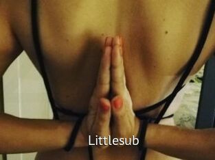 Littlesub
