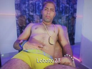 Lobato23