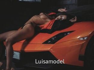 Luisamodel