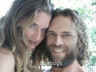Luvbugs