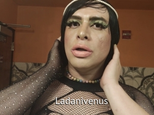 ladanivenus Zizi X