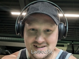 ladbod36 Zizi X