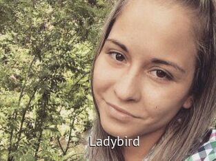 Ladybird