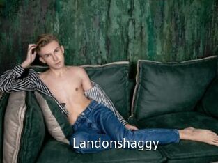 landonshaggy Zizi X
