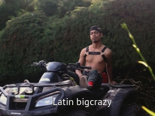 Latin_bigcrazy
