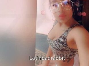 Latinbadrabbit